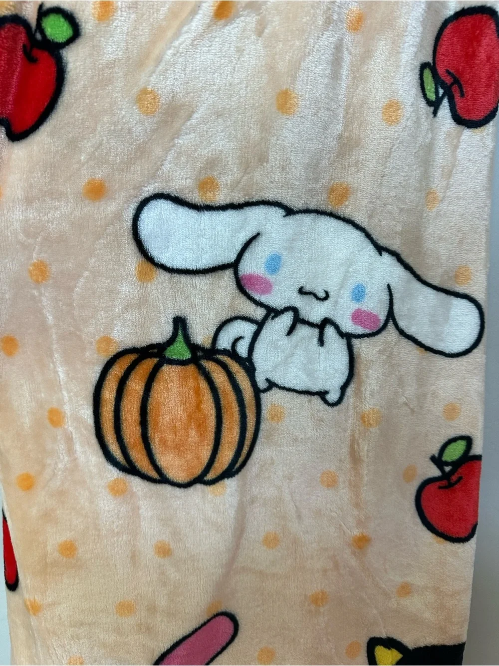 NWT Hello Kitty & Friends Fall Harvest Silk Touch Throw Blanket 50x70 Sanrio